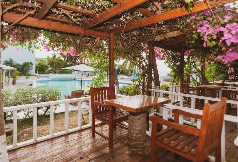 اتاق استاندارد با چشم‌انداز باغ, Ocean Point Beach Resort & Spa Adults Only