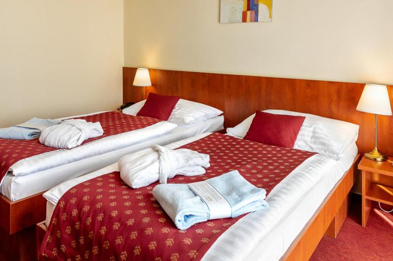 Standard Room with Balcony, Senec Aqua Resort
