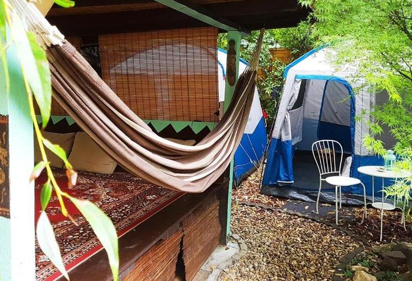 چادر با خدمات رفاهی استاندارد, Shantee House