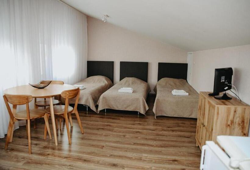 اتاق استاندارد سه نفره, Verslo Klasė Easy To Stay