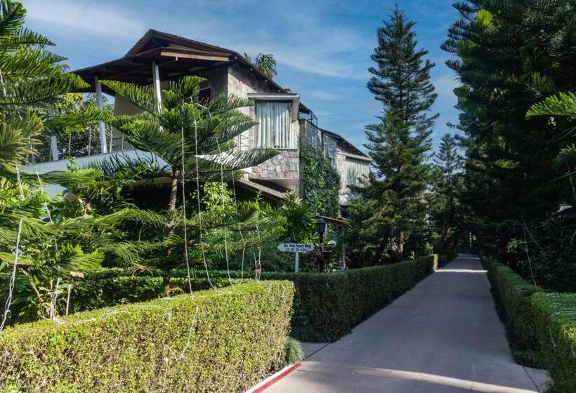 اتاق لوکس, Wood Castle Spa & Resort