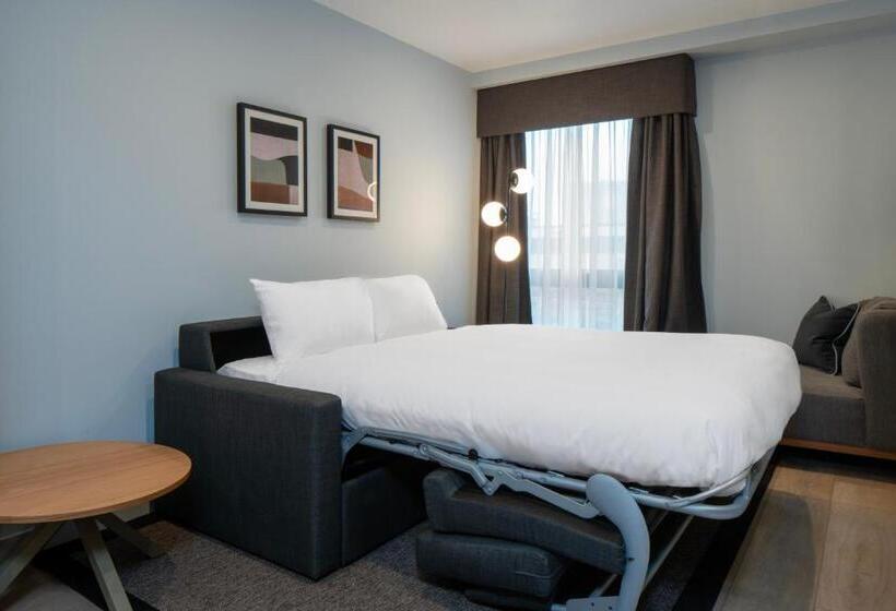 آپارتمان کلاسیک 1 خوابه, Aparthotel Birmingham