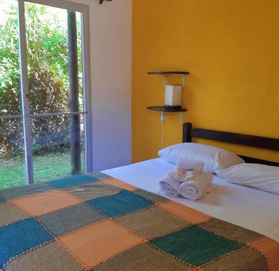 اتاق استاندارد, Viajero La Pedrera Hostel