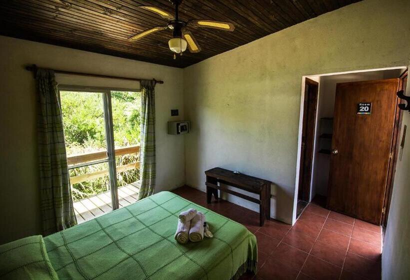اتاق استاندارد, Viajero La Pedrera Hostel