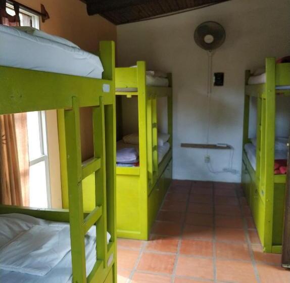 تختخواب در اتاق مشترک, Viajero La Pedrera Hostel
