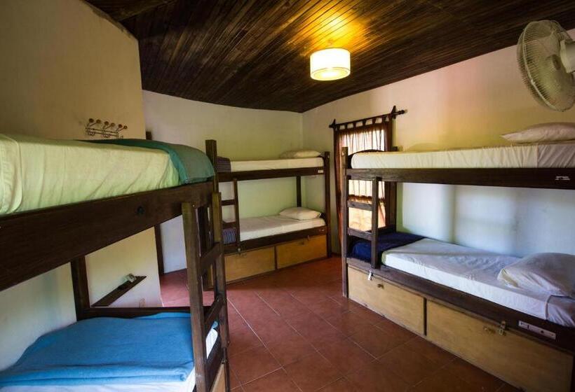 تختخواب در اتاق مشترک, Viajero La Pedrera Hostel