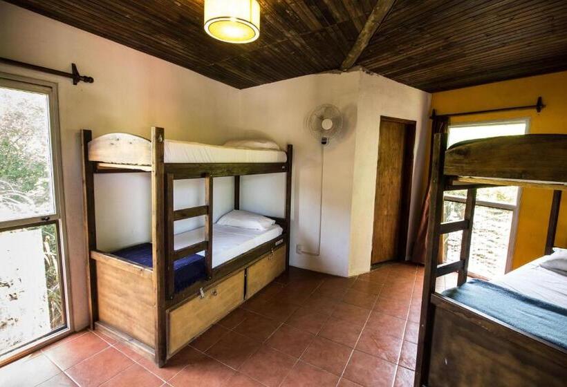 تختخواب در اتاق مشترک, Viajero La Pedrera Hostel