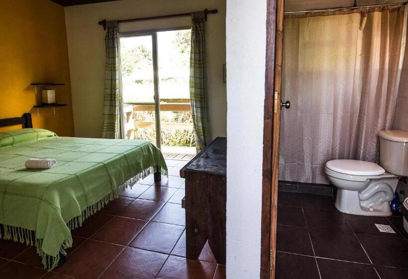 اتاق استاندارد یک نفره, Viajero La Pedrera Hostel