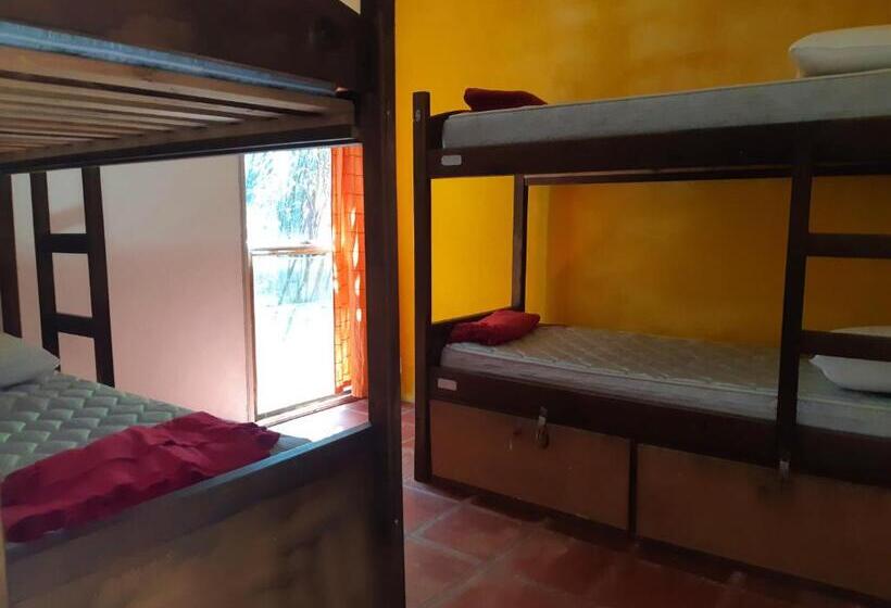 تختخواب در اتاق مشترک, Viajero La Pedrera Hostel