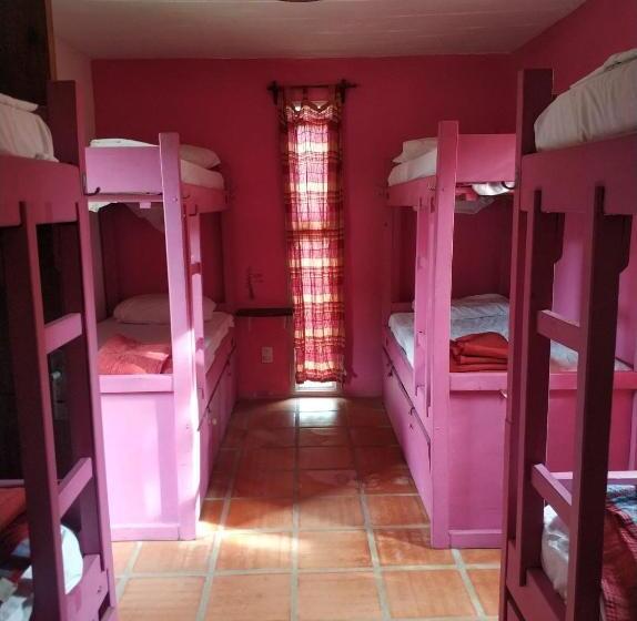 Bed in Shared Room with Shared Bathroom, Viajero La Pedrera Hostel