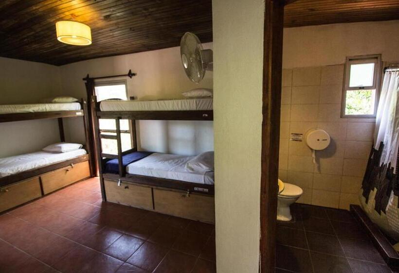 اتاق استاندارد چهار تخته, Viajero La Pedrera Hostel