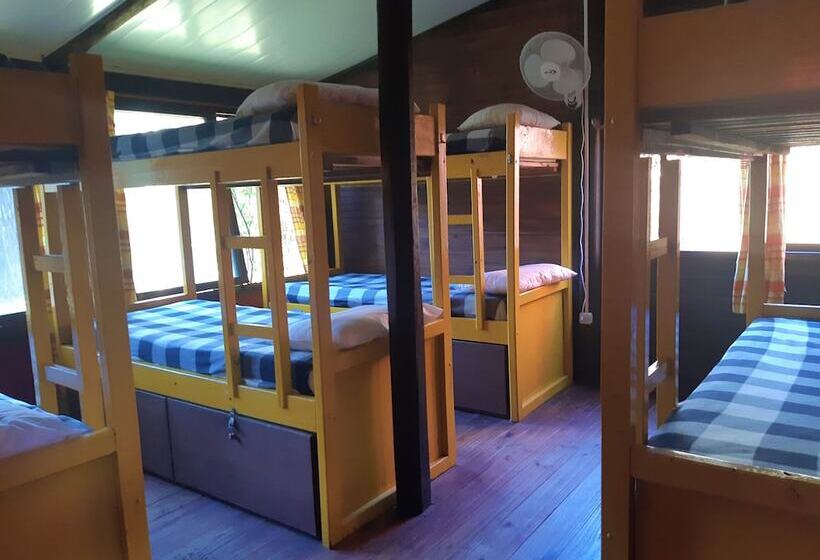 Bed in Shared Room with Shared Bathroom, Viajero La Pedrera Hostel