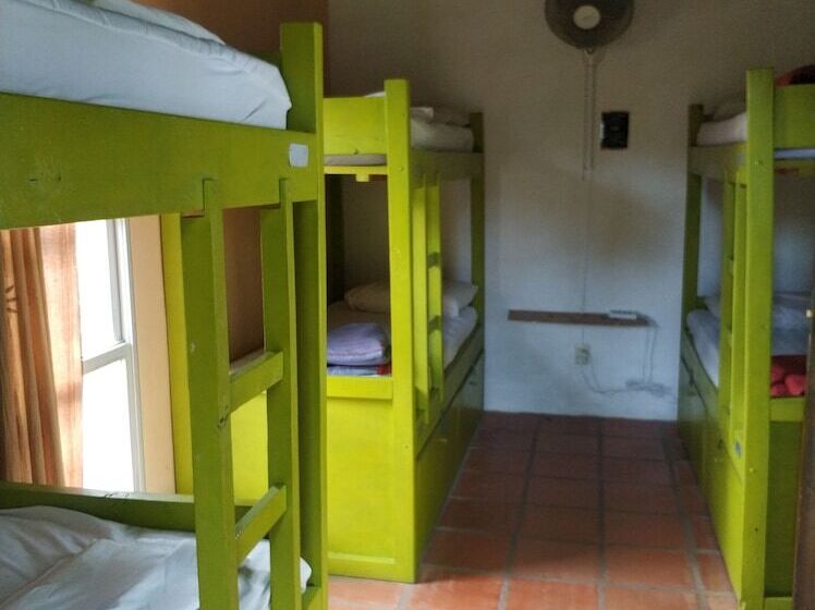 Bed in Shared Room with Shared Bathroom, Viajero La Pedrera Hostel