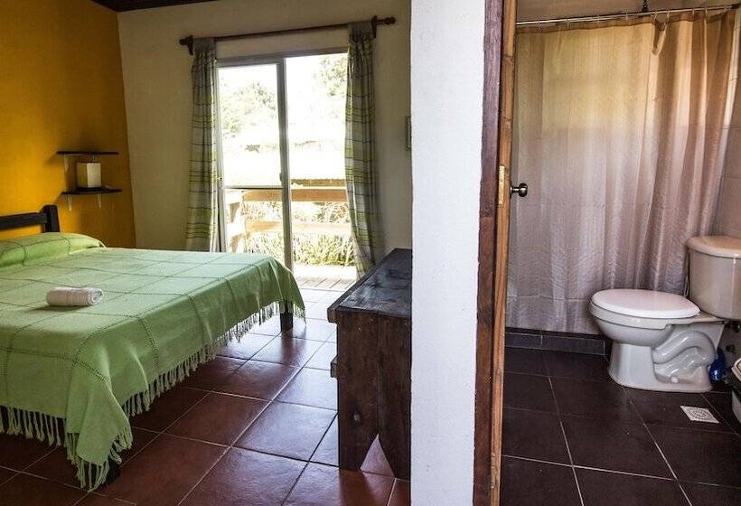 اتاق استاندارد یک نفره, Viajero La Pedrera Hostel