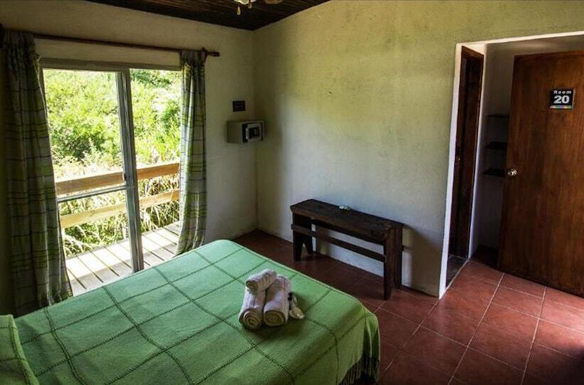 اتاق استاندارد یک نفره, Viajero La Pedrera Hostel