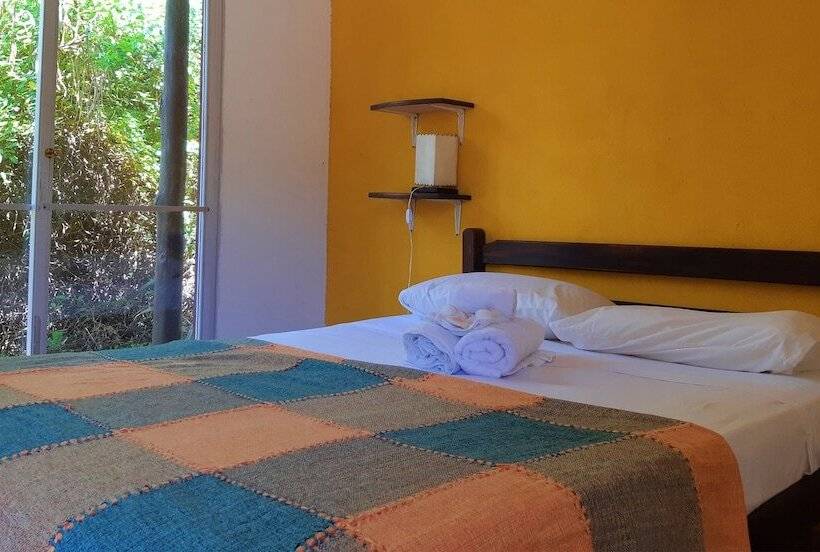 اتاق استاندارد یک نفره, Viajero La Pedrera Hostel
