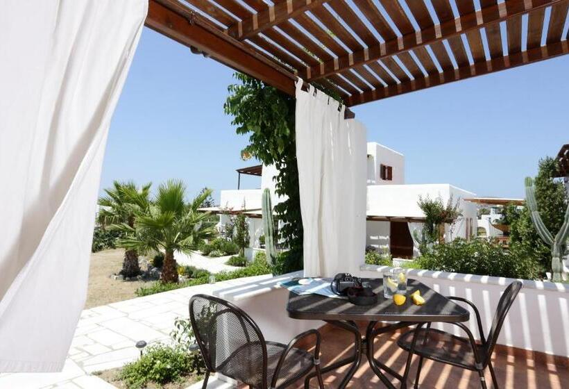 Bahçe manzaralı standart stüdyo, 9 Muses   Paros