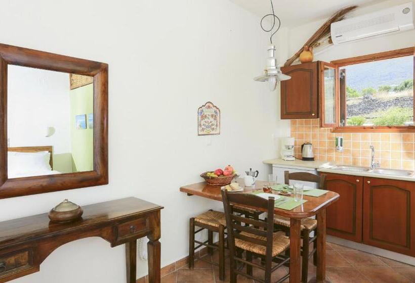 Bahçe manzaralı standart stüdyo, 9 Muses   Paros