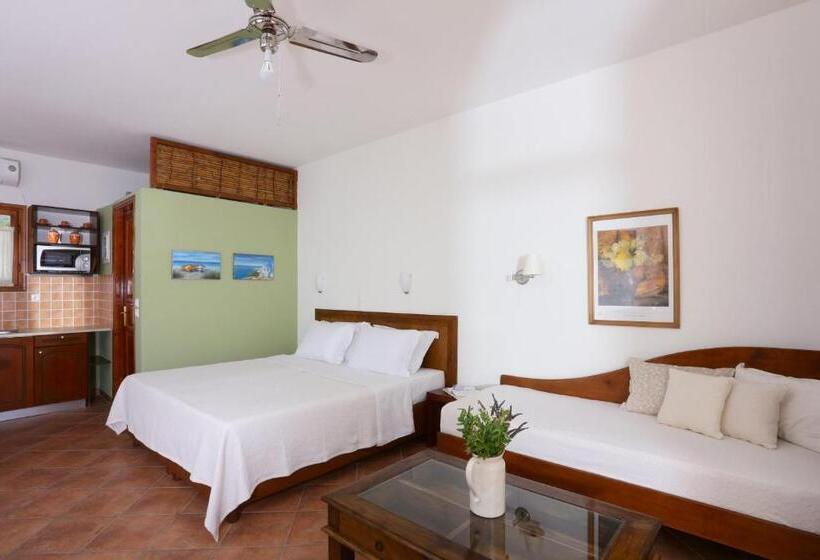 Bahçe manzaralı standart stüdyo, 9 Muses   Paros