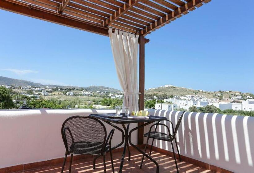 Deniz Mandarazıl Standart Stüdyo, 9 Muses   Paros