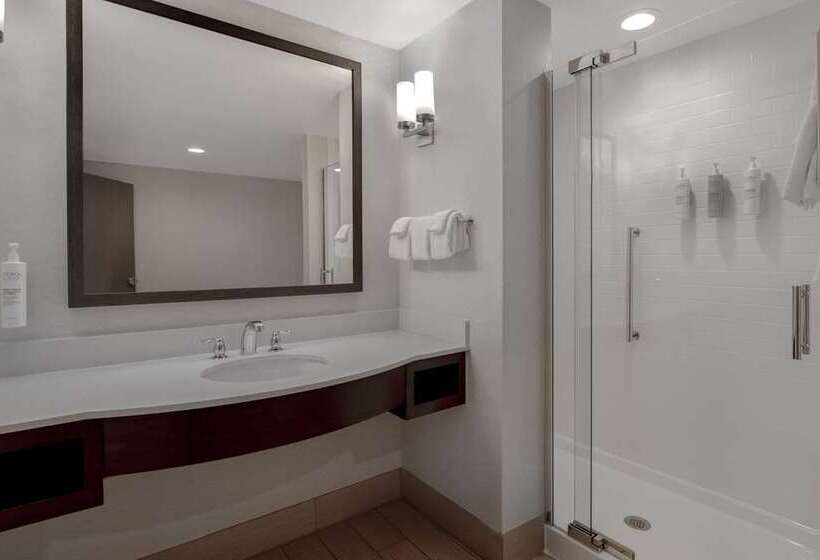 اتاق استاندارد, Hilton Garden Inn Burlingtondowntown