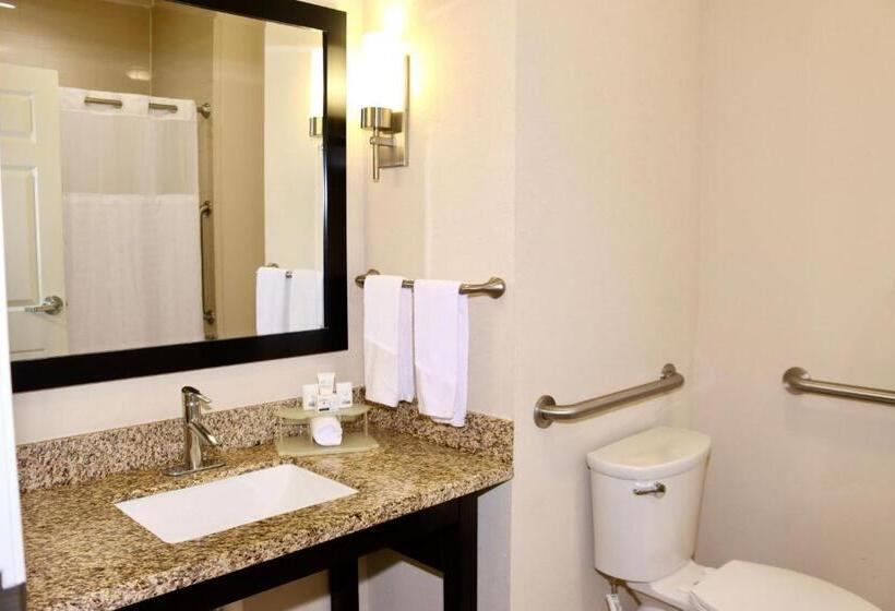 Habitació Estàndard, Holiday Inn Express & Suites Houston Northwestbrookhollow