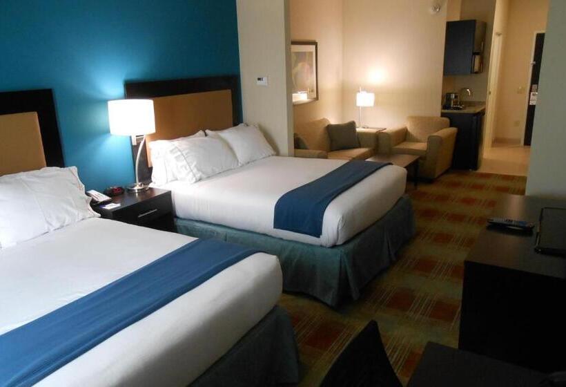 Habitació Estàndard, Holiday Inn Express & Suites Houston Northwestbrookhollow