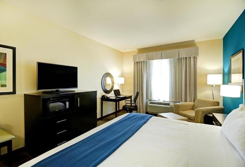 Habitació Estàndard Llit King Adaptada per a persones amb mobilitat reduïda, Holiday Inn Express & Suites Houston Northwestbrookhollow