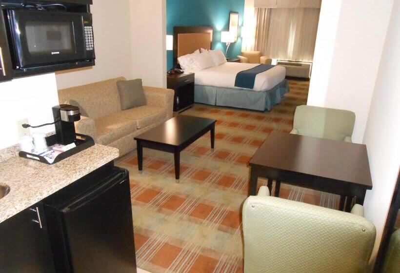 سوییت لوکس, Holiday Inn Express & Suites Houston Northwest Brookhollow, An Ihg