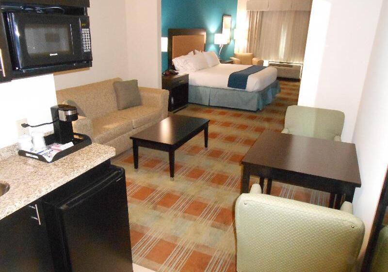 سوئیت با تخت بزرگ, Holiday Inn Express & Suites Houston Northwest Brookhollow, An Ihg