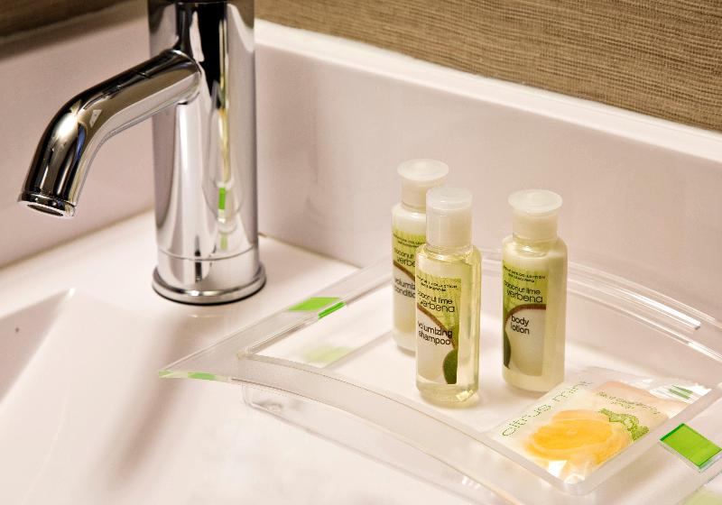 سوئیت اجرایی با تخت کینگ, Holiday Inn Manhattan  Financial District, An Ihg