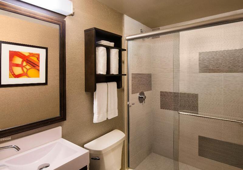 سوئیت اجرایی با تخت کینگ, Holiday Inn Manhattan  Financial District, An Ihg