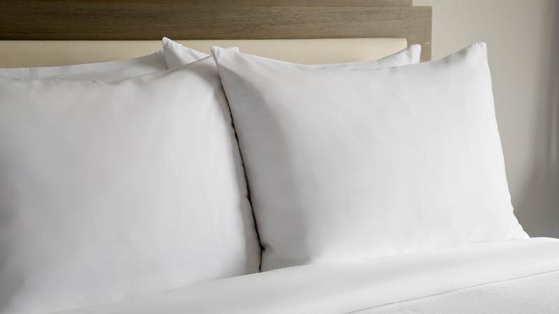 اتاق استاندارد با تخت بزرگ, Holiday Inn Manhattan  Financial District, An Ihg