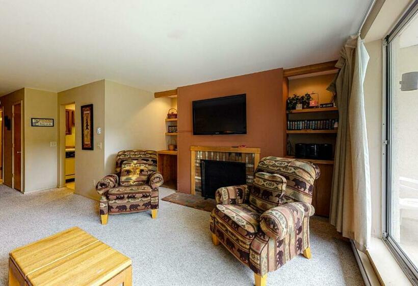 آپارتمان 1 خوابه, Mountainside Ski Lodge