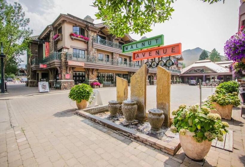 آپارتمان 1 خوابه, Warm Springs Wonder