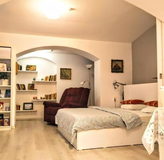 آپارتمان 1 خوابه, Central Guesthouse