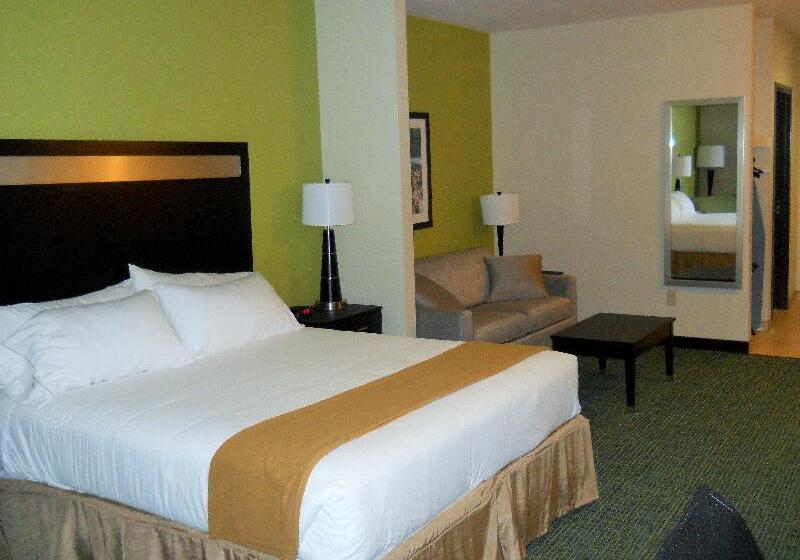 Suite Adapted for people with reduced mobility, Holiday Inn Express  & Suites Templemedical Center Area