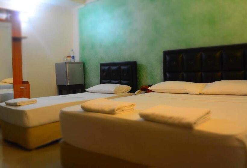 اتاق استاندارد سه نفره, Saasha City
