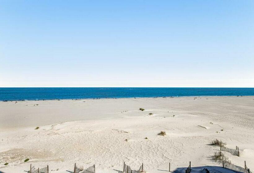 آپارتمان 3 خوابه, Ocean Club 1301