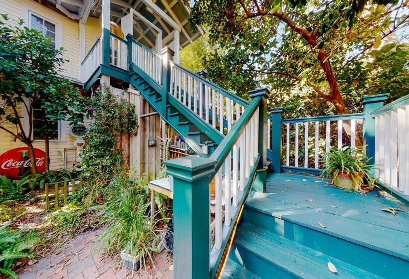 استودیوی استاندارد, Baby Breezy Tree House