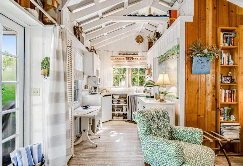 استودیوی استاندارد, Baby Breezy Tree House