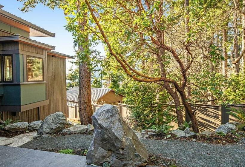 استودیوی استاندارد, Kingfisher Cove Hideaway