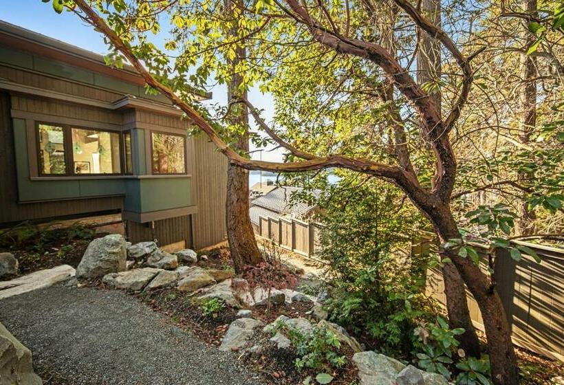 استودیوی استاندارد, Kingfisher Cove Hideaway