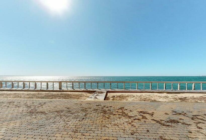 خانه 1 خوابه, Bayside Beauty