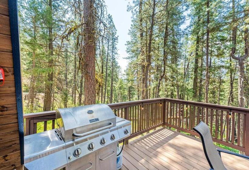 استودیوی استاندارد, Copper Top Chalet