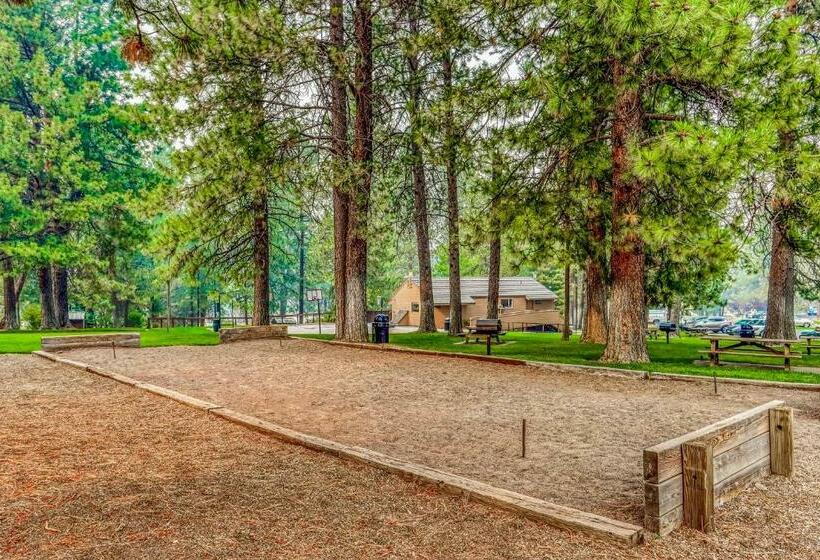 استودیوی استاندارد, Alpine Escape
