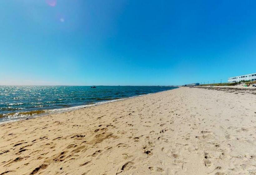 استودیوی استاندارد, Stay Sandy