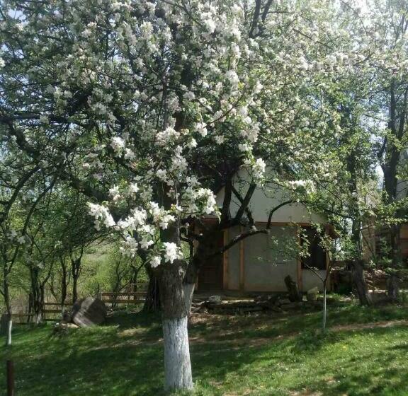 بنگله خانوادگی, Bungalows Old Town
