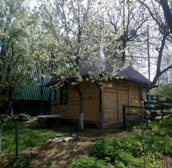 بانگلوی استاندارد, Bungalows Old Town