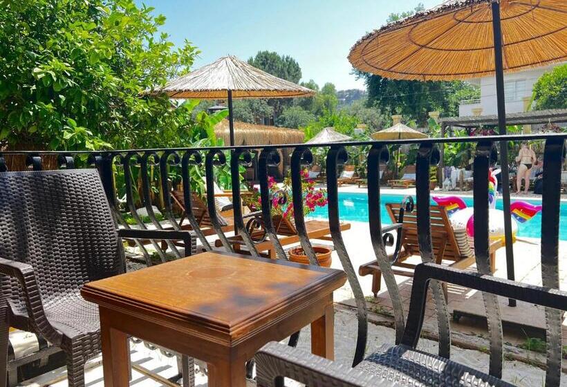 اتاق استاندارد, Han Boutique